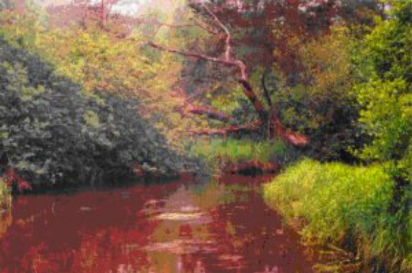 Image - The Lva River in the Transhoryn region.